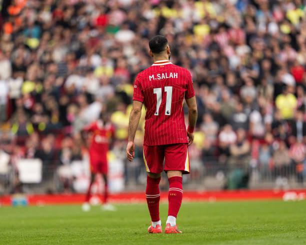 的综合体现 的综合体现